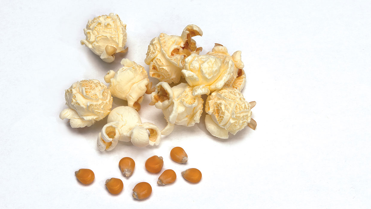 Popcorn-Flocken Mushroom Plus
