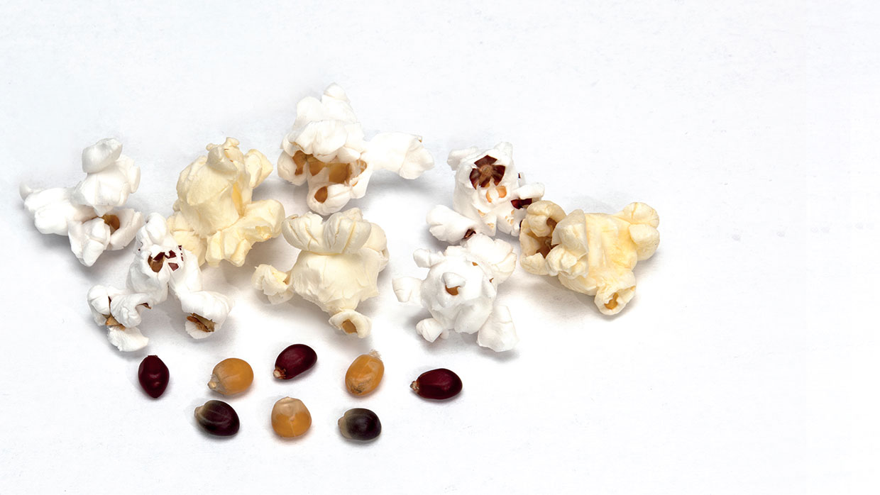 Popcorn-Flocken Rainbow