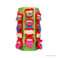 WOM B-Pop Lutscher mit Gebiss 48 x 15g 