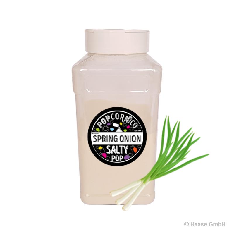Fertig-Mix `Spring Onion` - Gewürz-Pulver - 500 g 