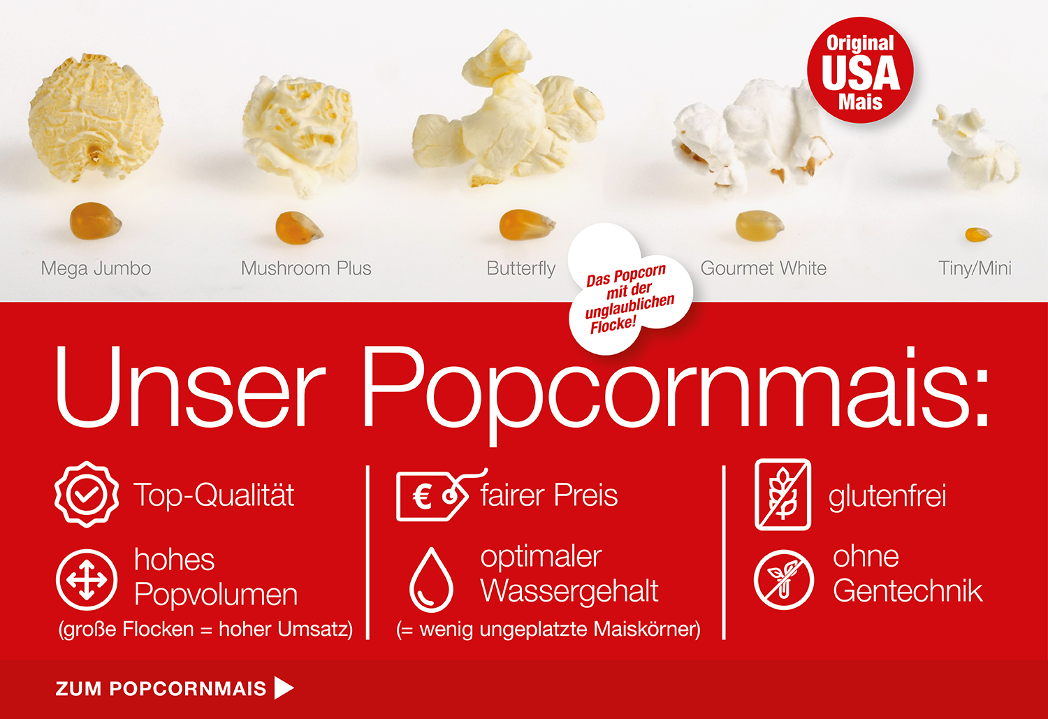 POPCORNMAIS 2023